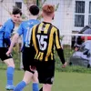 alfiewesheaver16