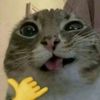 liketheweb_