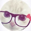 marroqui_cb