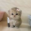 itsrawrrrrrr