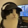ruythank