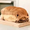 pugloaf69
