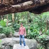 doconsontay