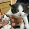 abababababababy
