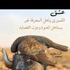 abogaith44