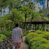 yaxen_kn