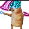 tiieennf_vvox