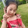 luanhanh16
