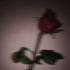 neysblv_