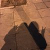 huyn_1624