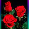 user4128086006433