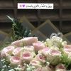 user9508006159807
