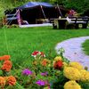 omar__alanazi