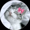 frost_hanif5