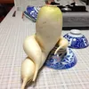 kaktuseus