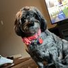 gracielynn999