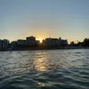mariannaa_2020