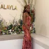 sylvia_xs