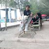 setevenlee