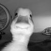 777