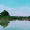 huybinh695