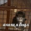 wer_pas