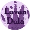 lavender_author