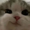 congchuabanggiaaa