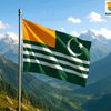 kashmiriprince124