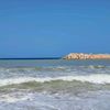 walid.bz.13