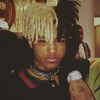 roma_snarly