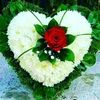 user970293403747