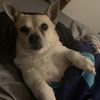 slothysloths13