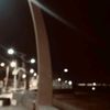 lexx_wy
