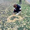 abcsoihoang