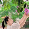 nguyennhan111112