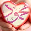 mahmoudabualnaga2