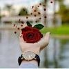 user1021589861761
