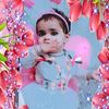 saikashehzadi4