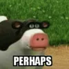 cowtwinsfordays