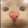 cremekayezze