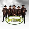 lostucanesdetijuana