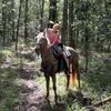 thatchampagnehorse