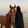hay2o6