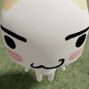 nowiiky