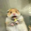zdotpng