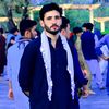 afghan.boxer.111