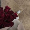 xo23bb