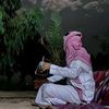 alshamrani23