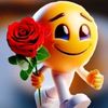 axz_981